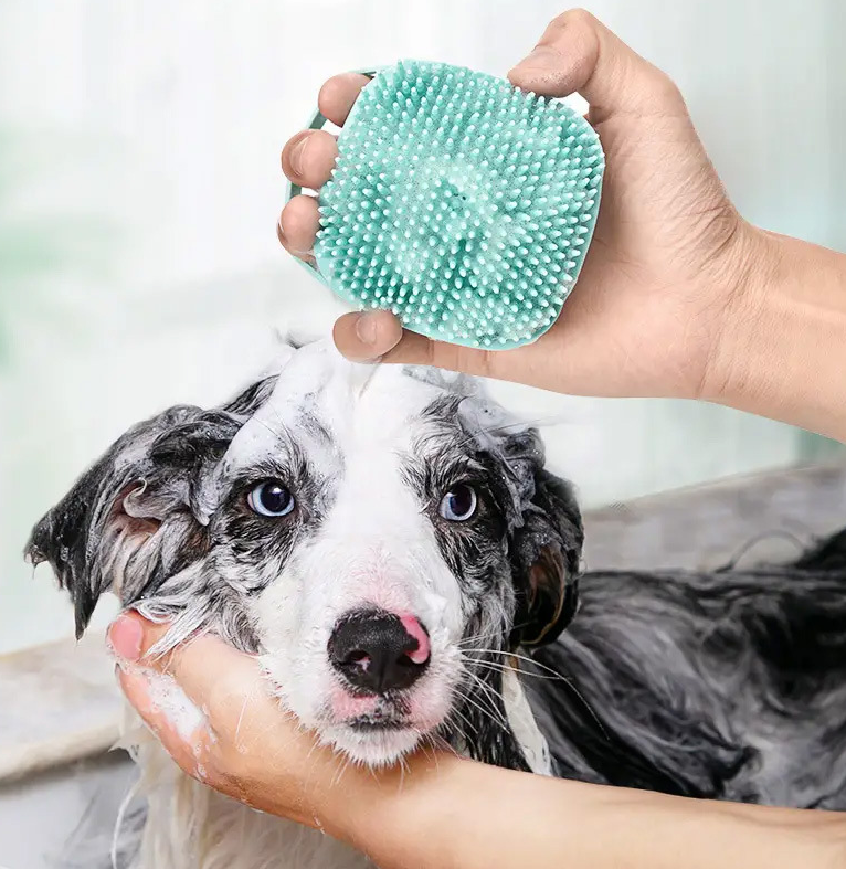 Grooming & Care